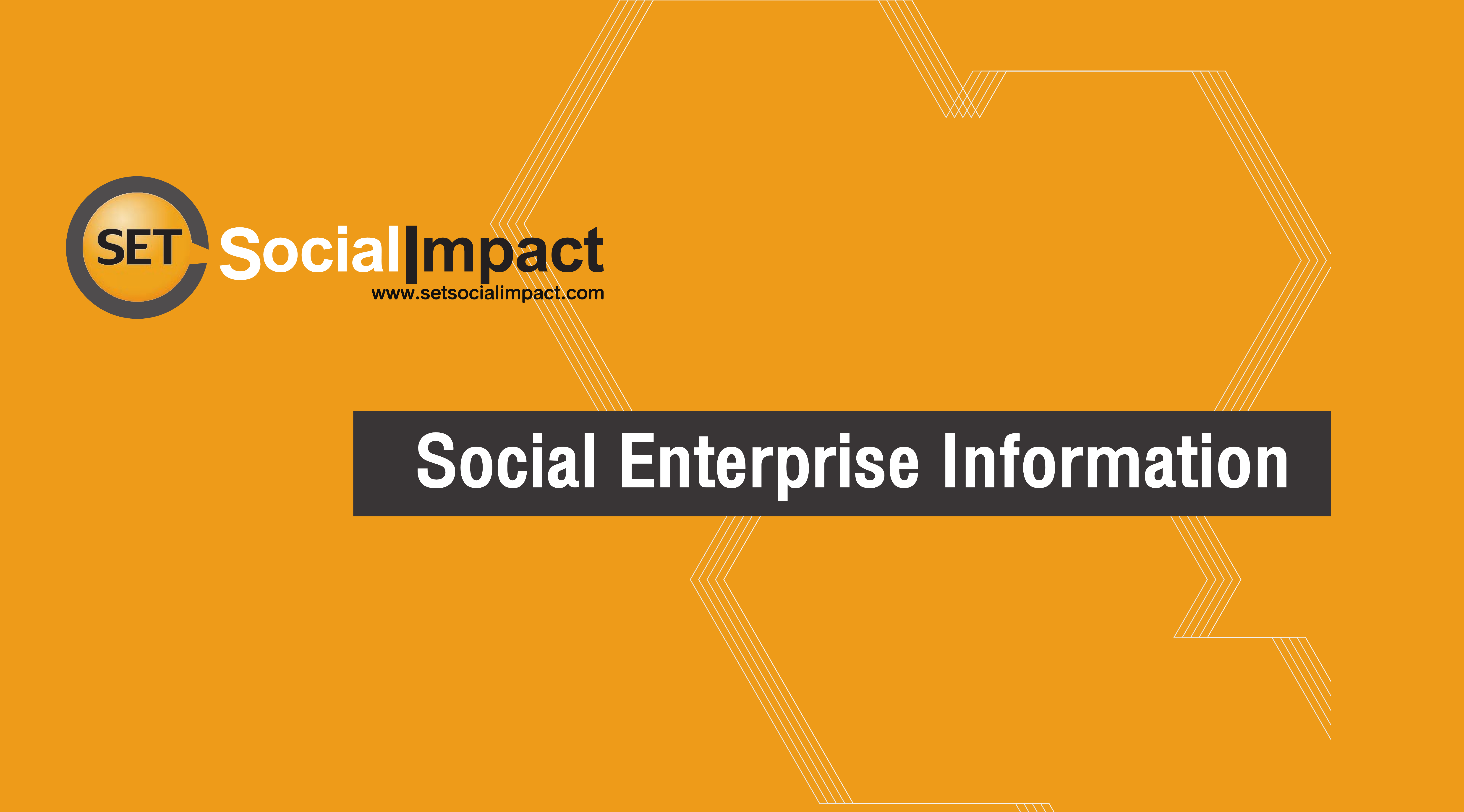 Social Enterprise Information
