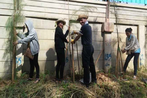 โครงการพัฒนา CHO สู่ชุมชน