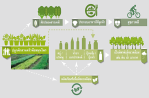 การเผยแพร่ความรู้ไปสู่สังคม