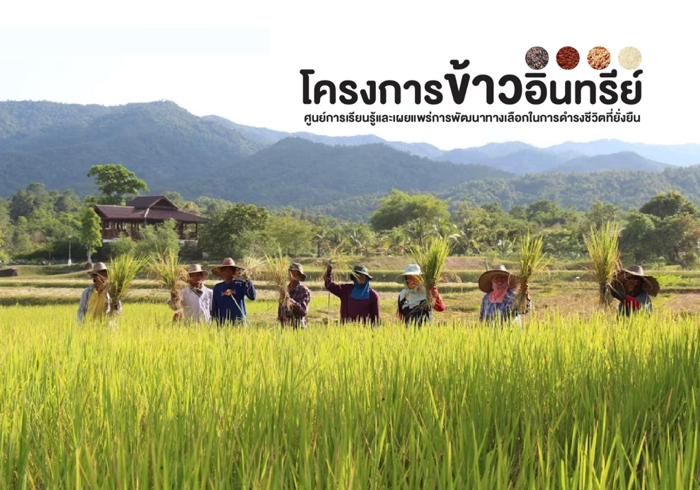 โครงการข้าวอินทรีย์